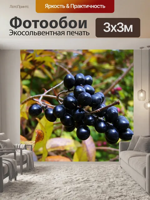 Фотообои Осенний урожай