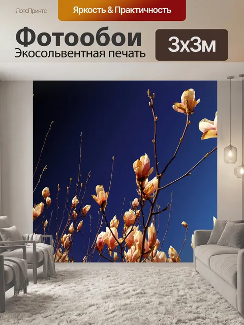 Фотообои Магнолия