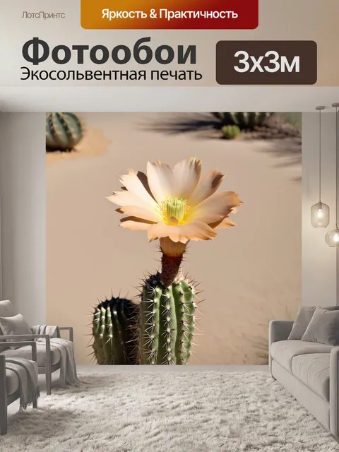 Фотообои бежевый цветок кактуса на фоне бежевой почвы