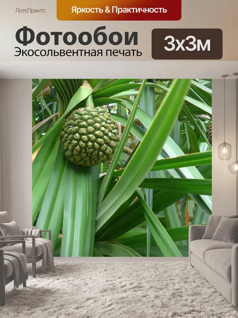 Фотообои Панданус