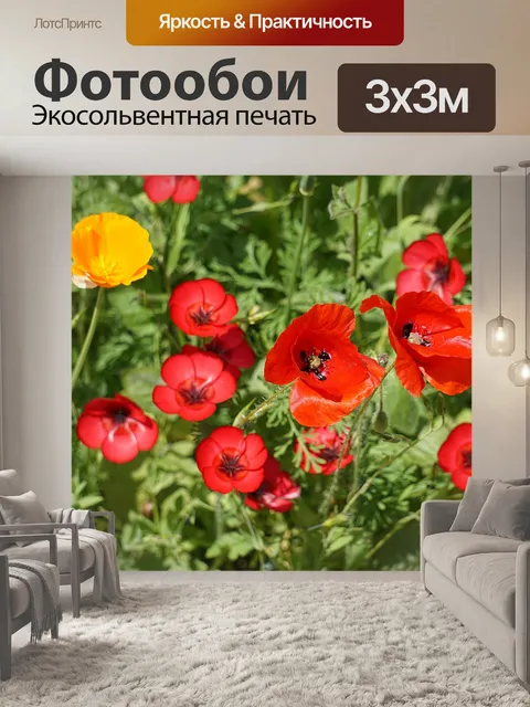Фотообои Маки в полях