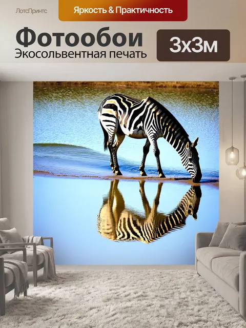 Фотообои зебра, пасущаяся возле водопоя, отражается в воде, создавая интересные волны и ряби