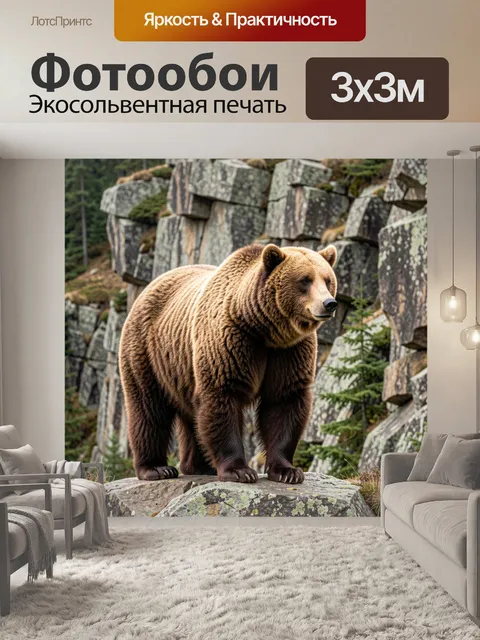 Фотообои Бурый медведь на камне