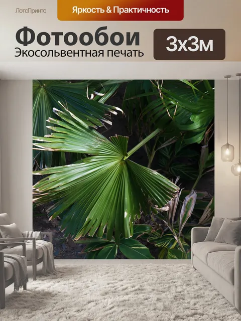 Фотообои веерообразный зеленый пальмовый лист
