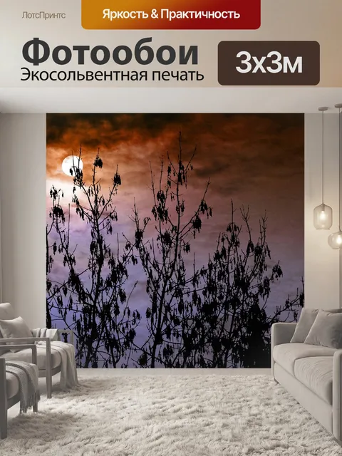 Фотообои Небеса