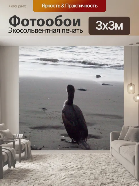 Фотообои Займа Шаг Птица на пляже