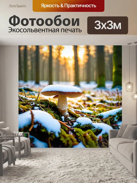 Фотообои грибы грибное место в заснеженном лесу