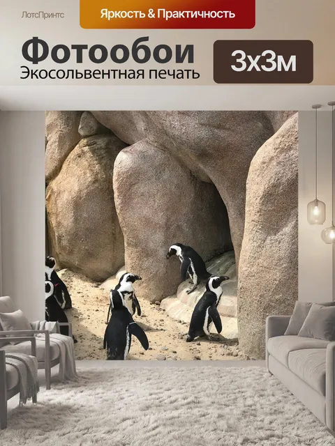 Фотообои Зоопарк