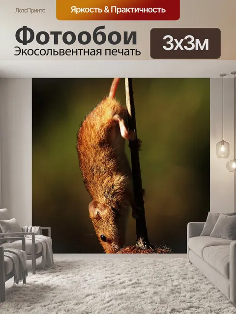 Фотообои Урожай мышь
