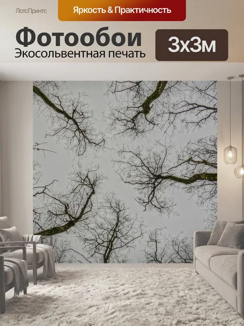 Фотообои Деревья