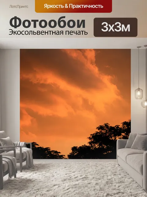 Фотообои абрикоса небо меда