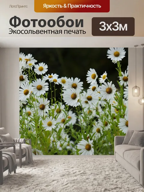 Фотообои Ромашки