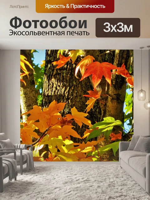 Фотообои яркие цвета осени