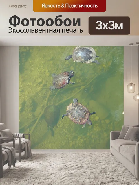 Фотообои Черепахи