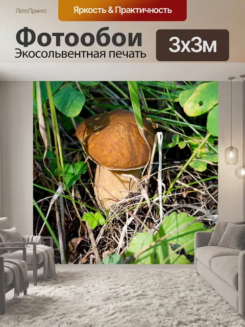 Фотообои Белый гриб