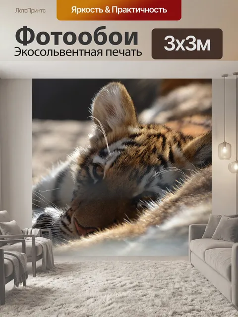 Фотообои Тигр