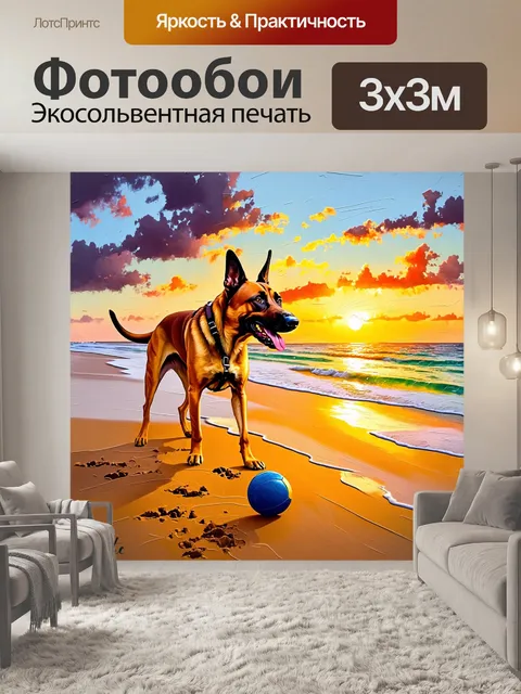 Фотообои на большом, пустынном пляже бельгийский малинуа играется с мячом, издавая радостные звуки