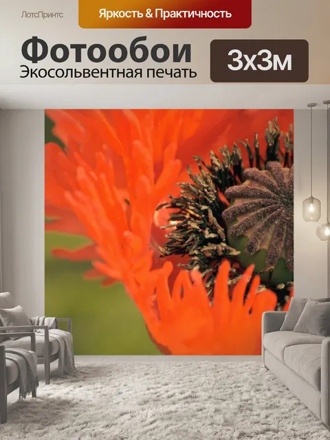 Фотообои маки