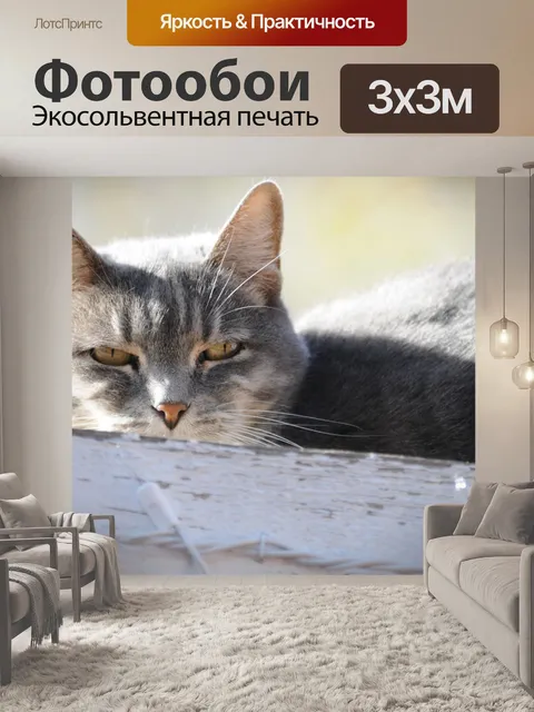 Фотообои Крупным планом кошки на заборе