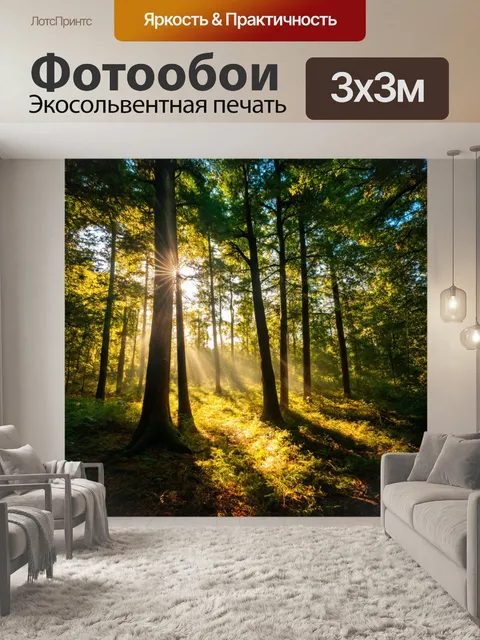 Фотообои солнечный свет пробивается сквозь деревья леса