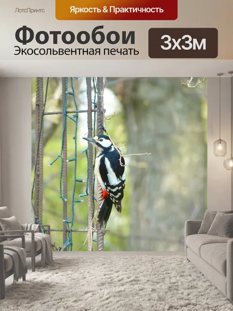 Фотообои Большой пёстрый дятел