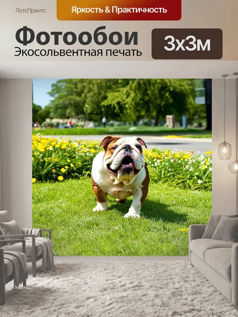 Фотообои бульдог, играющий в парке в солнечный день, окруженный зеленой травой и цветами