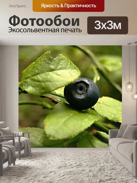 Фотообои Лес
