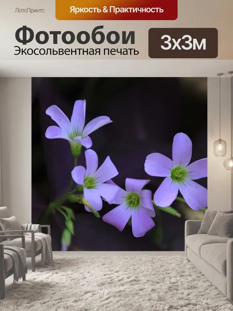 Фотообои Фиолетовый