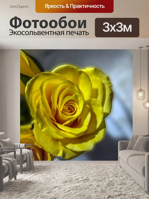 Фотообои Желтая роза