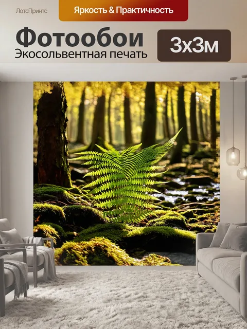 Фотообои зеленый папоротник, раскинувший свои перистые листья, словно гигантский веер, простирается по каменистой…