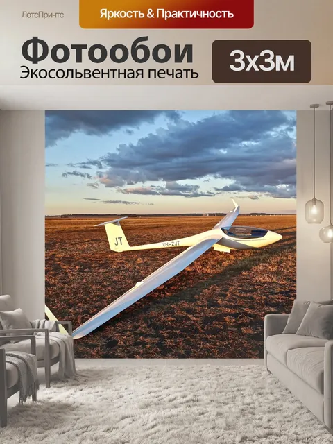 Фотообои Планер