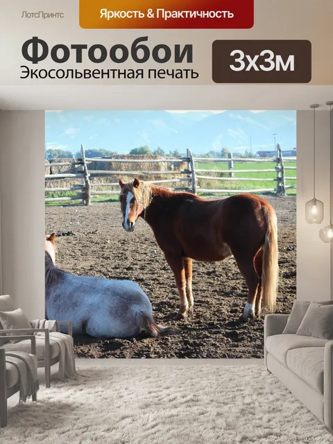 Фотообои Лошадь