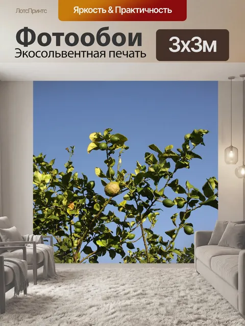 Фотообои Лимон