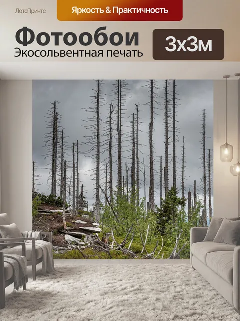 Фотообои Горы