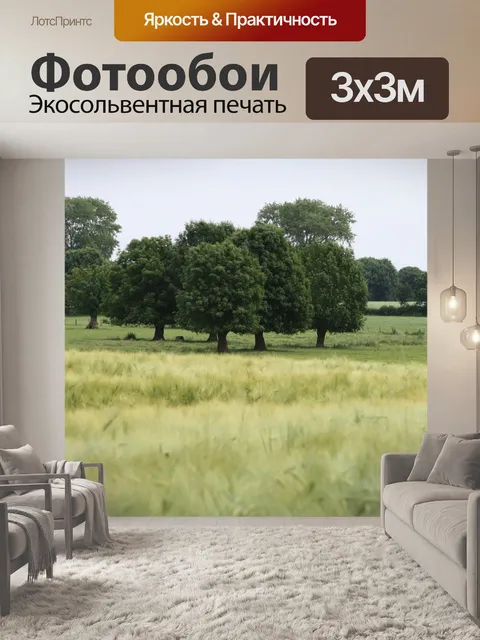 Фотообои Поле