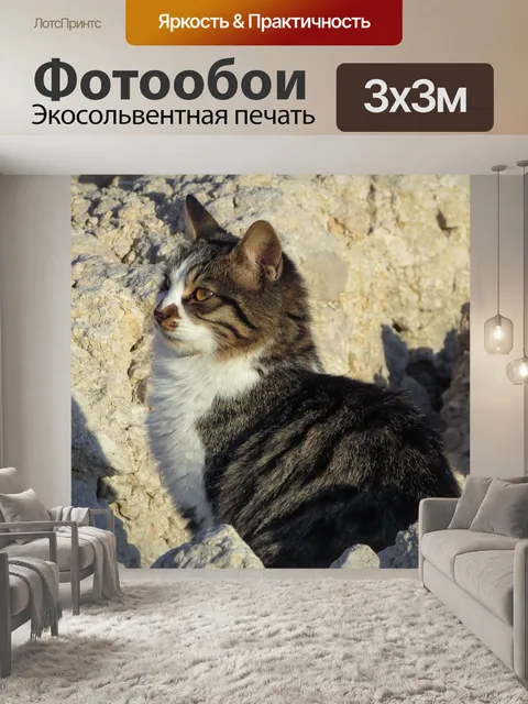 Фотообои Кошка