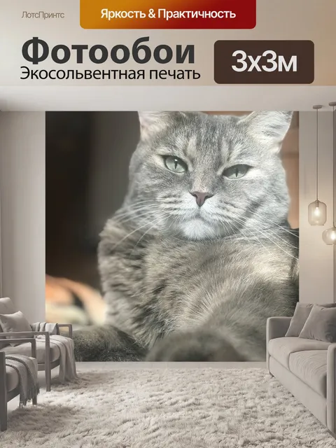 Фотообои Кот