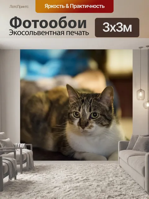 Фотообои Кошачий