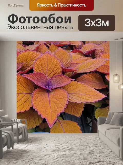 Фотообои Растение с оранжевыми листьями