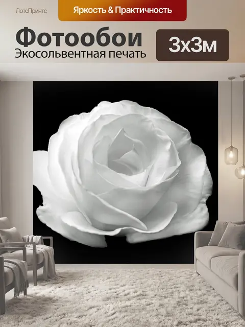 Фотообои Белые розы на черном фоне