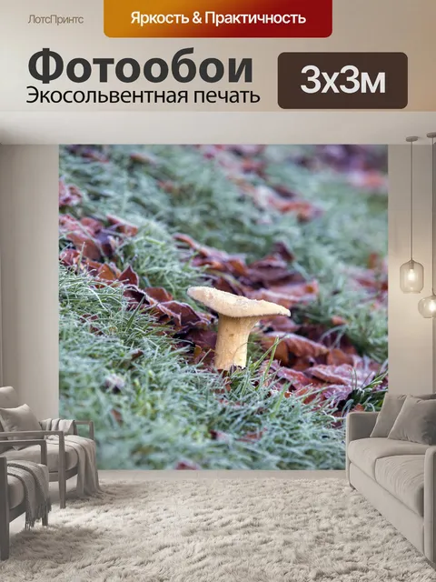Фотообои грибы