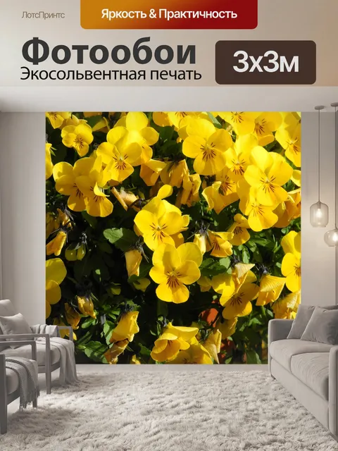 Фотообои Расцветает