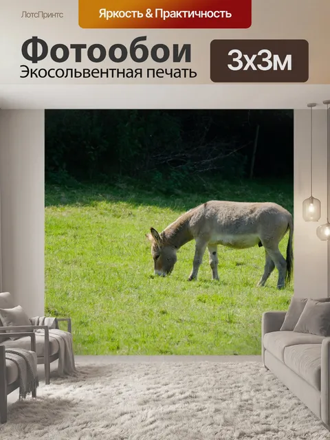 Фотообои Осел на лугу