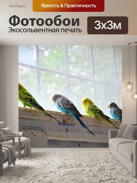 Фотообои Попугаи