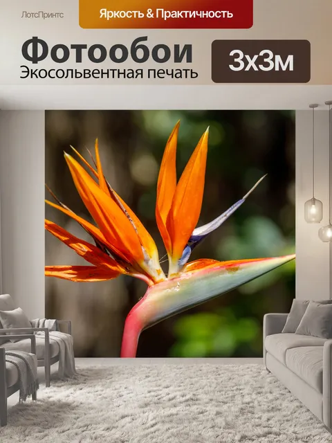 Фотообои Цветок райской птицы