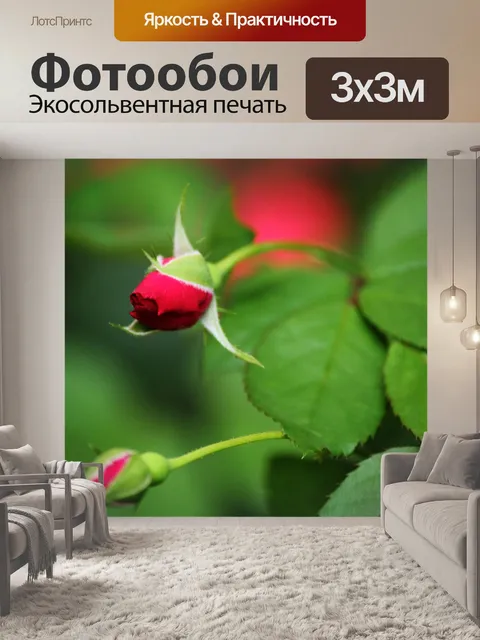 Фотообои бутоны роз