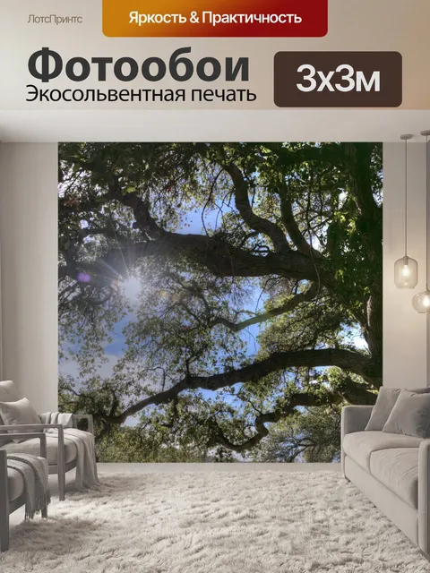 Фотообои Солнце сквозь деревья
