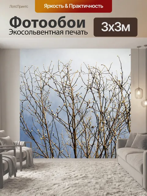 Фотообои Голубое небо