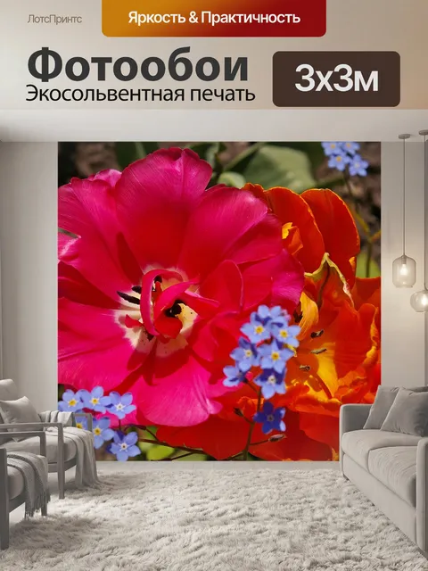 Фотообои Тюльпаны