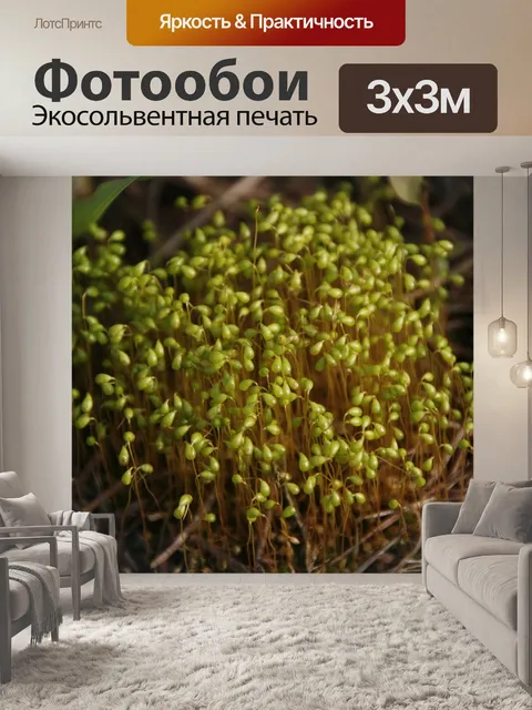 Фотообои Мох